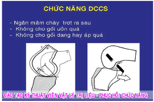 phuc-hoi-chuc-nang
